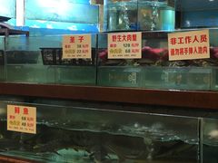 -金龙渔港(双楠店)