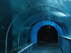 -北戴河圣蓝海洋公园