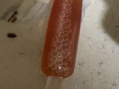 -恒幸动物医院·急重症转诊中心·神经内外科·CT核磁