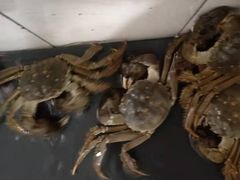 -七的湖·晚芳亭·阳澄湖农家菜·大闸蟹(莲花岛店)
