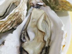 生蚝-蚝专家(北滘店)