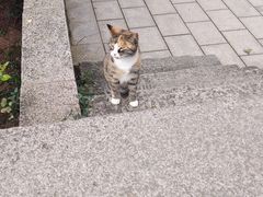 -青岛崂山太清宫