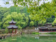 -忠山公园