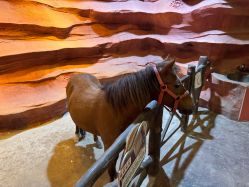 -酷嗒动物文化乐园(cutezoo西溪乐天城店)