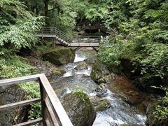 -龙苍沟森林公园