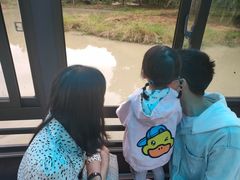 -中国扬子鳄村