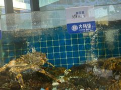 -大锅强·蒸海鲜青岛菜(吾悦广场店)