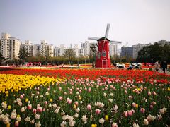 -大宁灵石公园西门票处