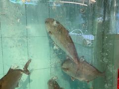 -万山楼海鲜酒家·二十三年老字号