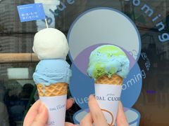 -Dal Cuore 达可芮冰淇淋(陕西北路店)
