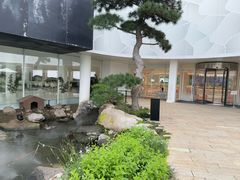 -罗红摄影艺术馆