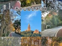 -上海辰山植物园