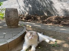 -赵尔巽公馆-旧址