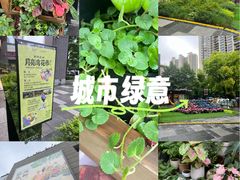 -瑞虹新天地月亮湾