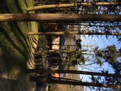 iphone_upload_pic-南京汤山紫清湖生态旅游温泉度假区