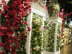 新的隐形眼镜中心-精益眼镜(春熙路店)