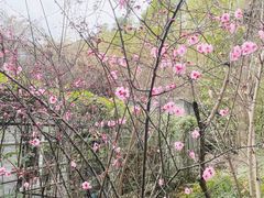 -成都杜甫草堂博物馆
