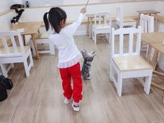 -李小姐の猫咖啡馆(五角场店)