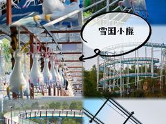 -盈香心动乐园