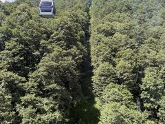 -苍山感通索道