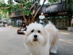 -TrueLove @ Neverland (Husky Cafe)