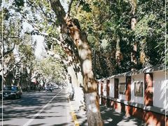 -溧阳路经典老洋房