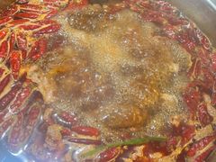 -金鼎雪山牦牛杂火锅(理县总店)