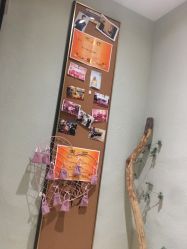 -香秀空间科技抗衰·美容中心