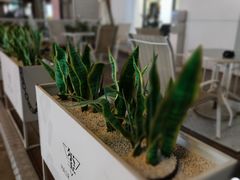 -小白楼1902欧式风情街