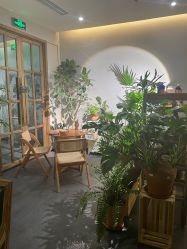 -芳香乐府疗愈空间·SPA·冥想