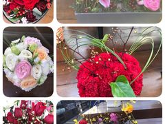 -荷兰花海