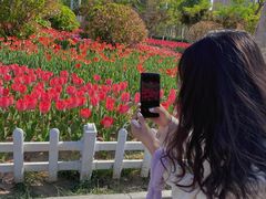 -廊坊文化艺术中心