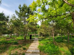 -东郊湿地公园