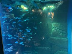 -成都浩海立方海洋公园