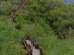 -大岭沟猕猴桃谷风景区