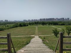 -汉长安城未央宫国家考古遗址公园