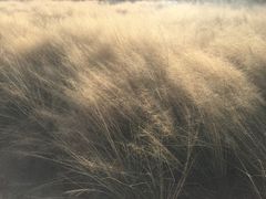 -军山湖云水间生态农业旅游景区