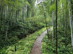 -蜀南竹海景区