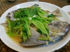 -肥信潮菜(科新路店)