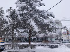 -霍尔果斯国门景区