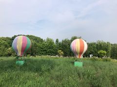 -同里国家湿地公园