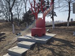 -莫子山公园