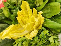 -草原传奇鲜羊火锅(桥北店)