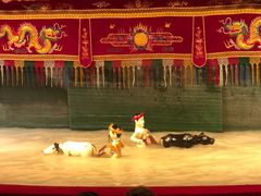 -金龙水上木偶剧院
