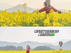 -九龙江国家森林公园