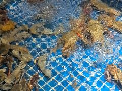 -小时候焗海鲜(鄞州万达店)