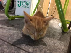 -牛师傅广式药膳牛骨汤美食(江南西店)