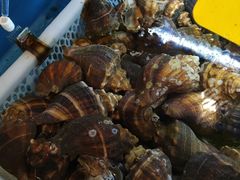 -丁字口海鲜热炒·烧烤大排档