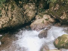 -青城山