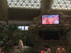 -杭州开元森泊度假乐园